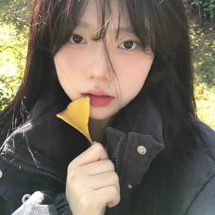 妖精的旋律