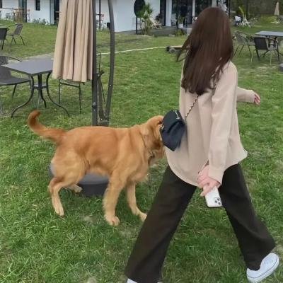 残疾人的未来